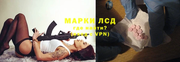 стаф Алексин