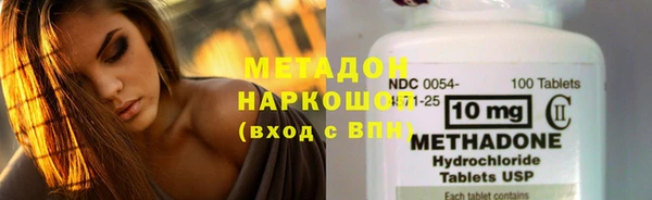 стаф Алексин