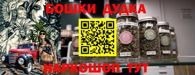 PSILOCYBIN Новодвинск
