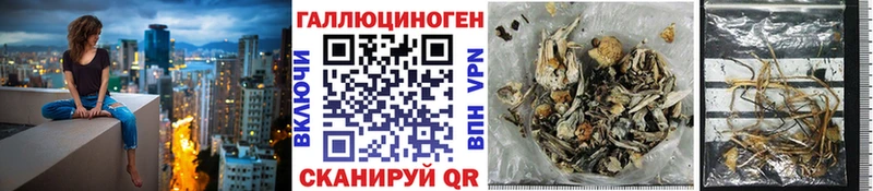 купить   Искитим  Псилоцибиновые грибы Cubensis 